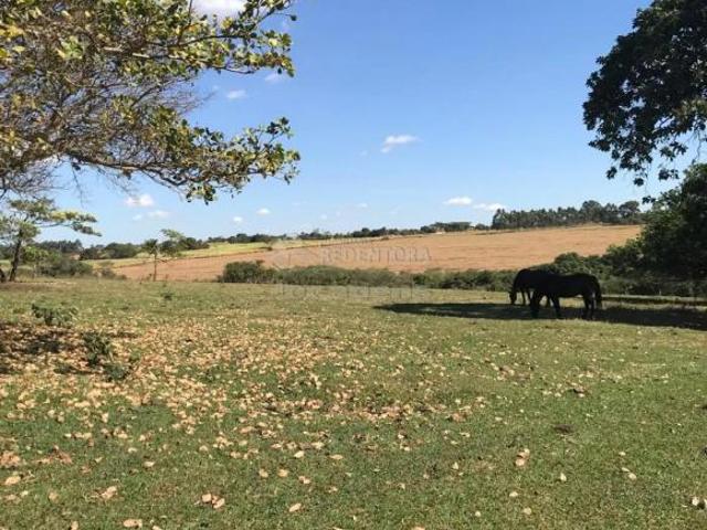 Sítio e chácara venda em Região Imediata de São José do Rio Preto, Região Metropolitana de São José do Rio Preto