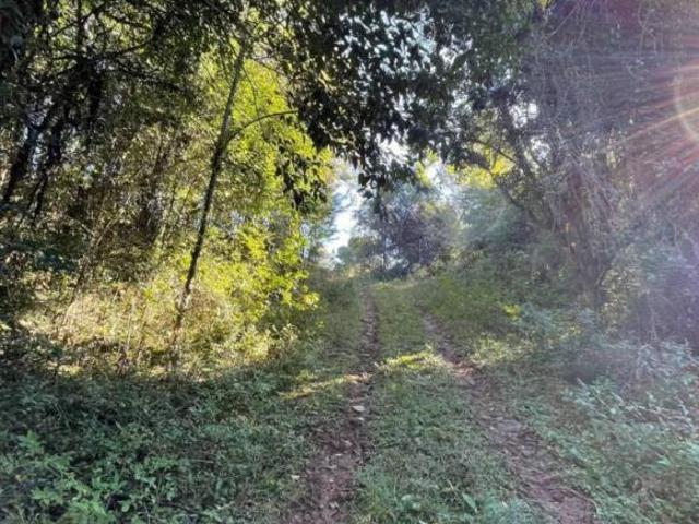 Sítio e chácara venda em Região Geográfica Imediata de Caxias do Sul, Gramado