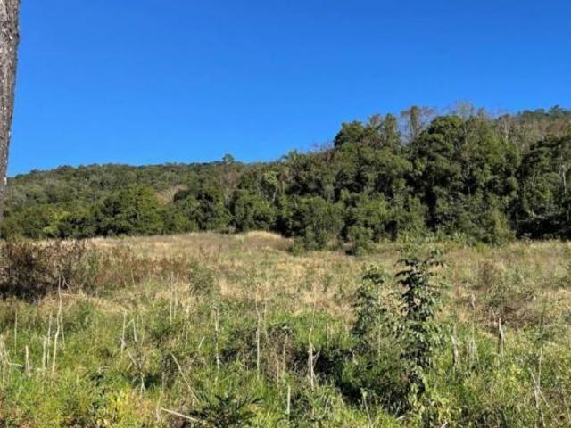Sítio e chácara venda em Região Geográfica Imediata de Caxias do Sul, Gramado