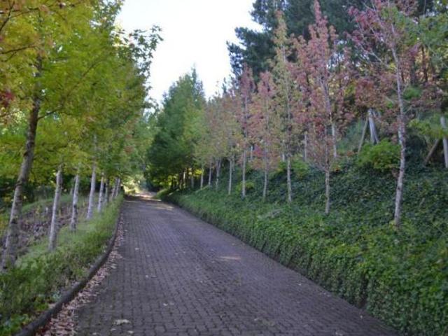 Sítio e chácara venda em Região Geográfica Imediata de Caxias do Sul, Gramado
