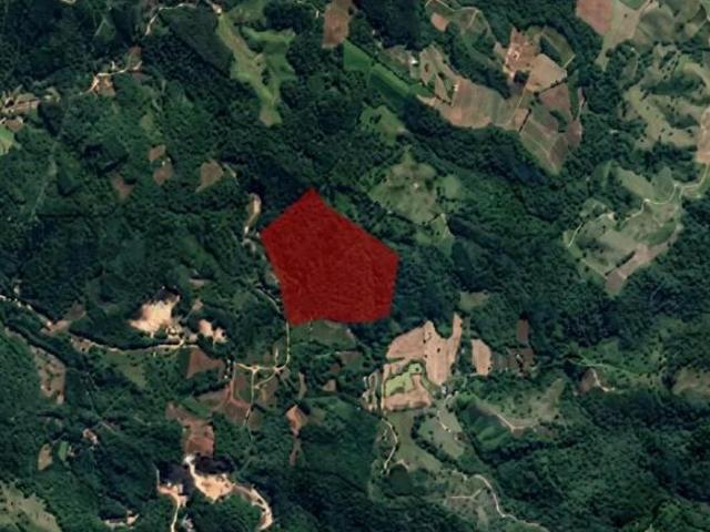 Sítio e chácara venda em Região Geográfica Imediata de Curitiba, Região Metropolitana de Curitiba