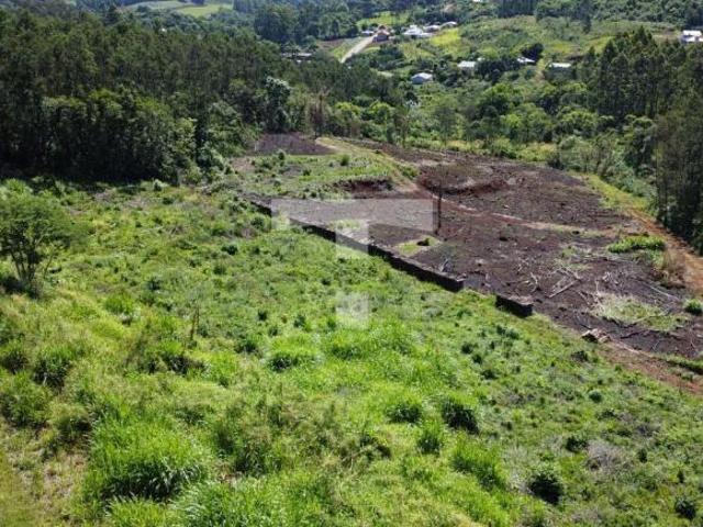 Sítio e chácara venda em Região Geográfica Imediata de Novo Hamburgo - São Leopoldo, Linha Nova