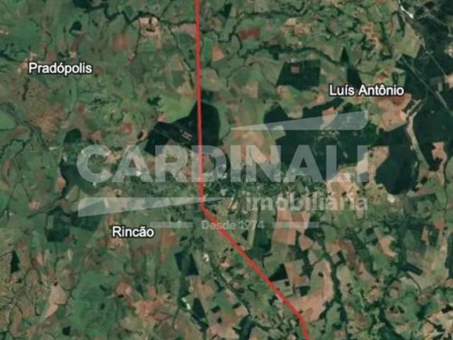 Sítio e chácara venda em Região Imediata de São Carlos, São Carlos