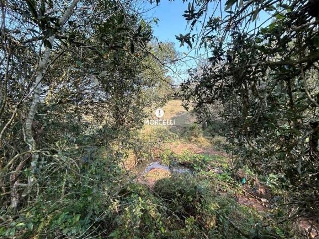 Sítio e chácara venda em Região Geográfica Imediata de Santa Maria, Santa Maria