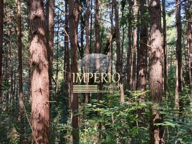 Sítio e chácara venda em Região Geográfica Imediata de Caxias do Sul, Canela