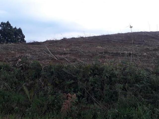 Terreno venda em Região Geográfica Imediata de Caxias do Sul, Gramado