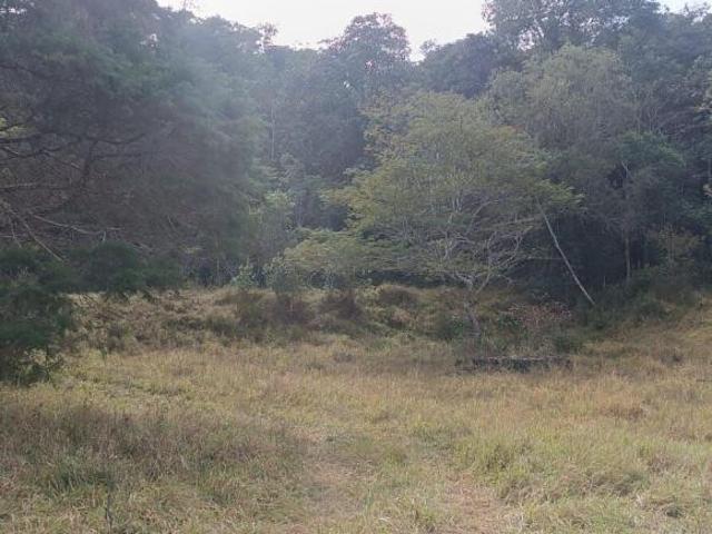 Sítio e chácara venda em Guararema