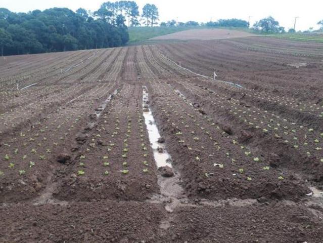 Sítio e chácara venda em Região Imediata de Sorocaba, Região Metropolitana de Sorocaba