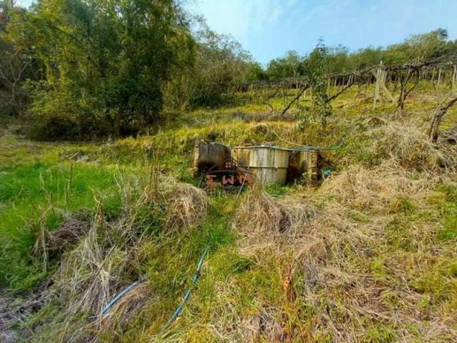 Terreno venda em Região Geográfica Imediata de Caxias do Sul, Farroupilha