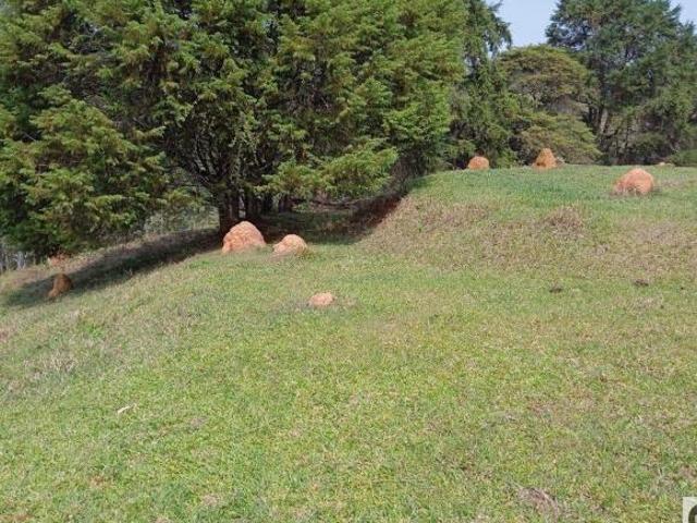 Sítio e chácara venda em Região Imediata de São José dos Campos, Região Metropolitana do Vale do Paraíba e Litoral Norte