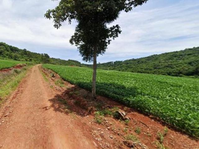 Sítio e chácara venda em Região Geográfica Imediata de Francisco Beltrão, Pérola d'Oeste