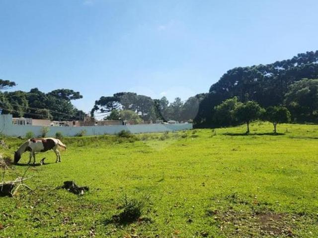 Sítio e chácara venda em São José dos Pinhais, Região Geográfica Intermediária de Curitiba