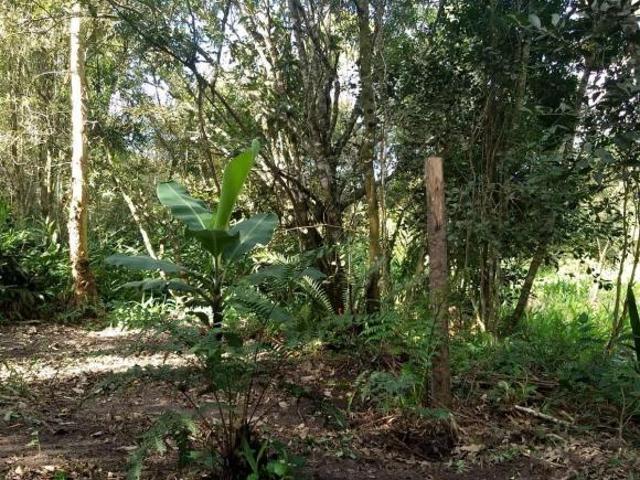Sítio e chácara venda em Região Imediata de São Paulo, Região Metropolitana de São Paulo