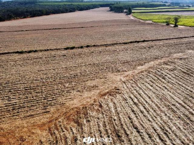 Sítio e chácara venda em Região Imediata de São João da Boa Vista, Região Metropolitana de Ribeirão Preto