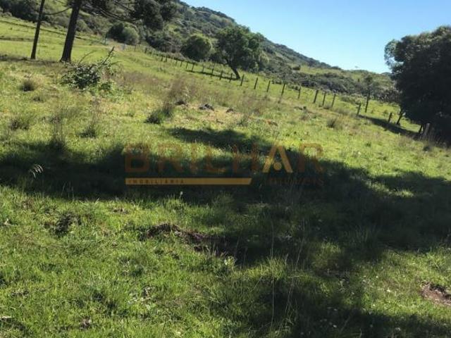 Terreno venda em Região Geográfica Imediata de Caxias do Sul, Caxias do Sul