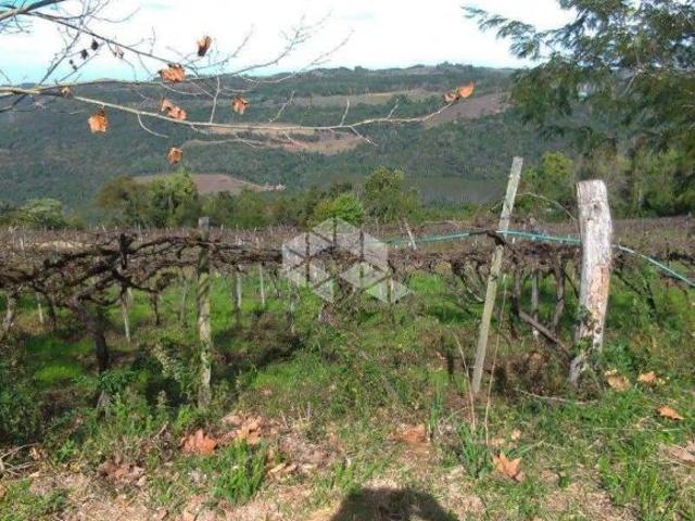 Sítio e chácara venda em Região Geográfica Imediata de Goiás - Itapuranga, Nova Crixás