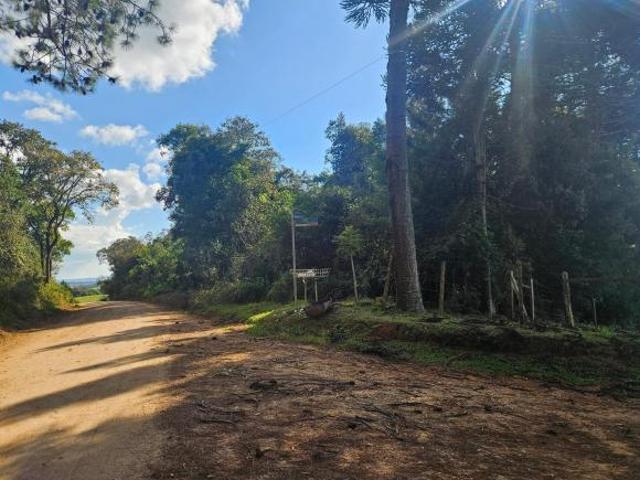 Terreno venda em Araucária, Região Geográfica Intermediária de Curitiba