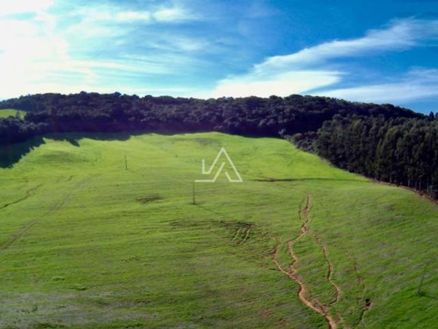 Sítio e chácara venda em Região Geográfica Imediata de Passo Fundo, Passo Fundo