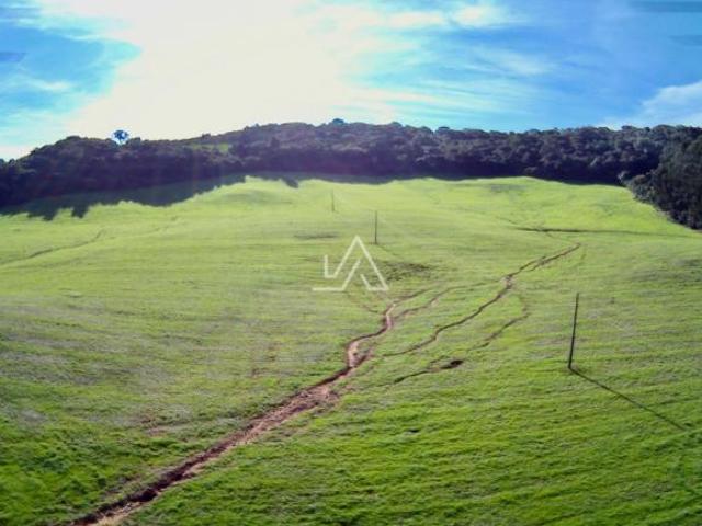 Sítio e chácara venda em Região Geográfica Imediata de Passo Fundo, Passo Fundo