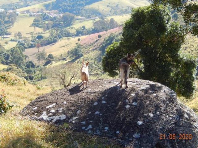 Sítio e chácara venda em Região Geográfica Imediata de Poços de Caldas, Andradas