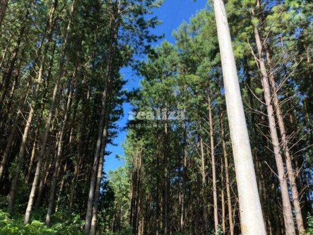 Sítio e chácara venda em Região Geográfica Imediata de Caxias do Sul, Gramado