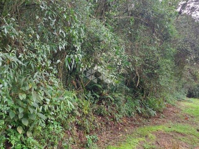 Sítio e chácara venda em Região Geográfica Imediata de Bento Gonçalves, Bento Gonçalves