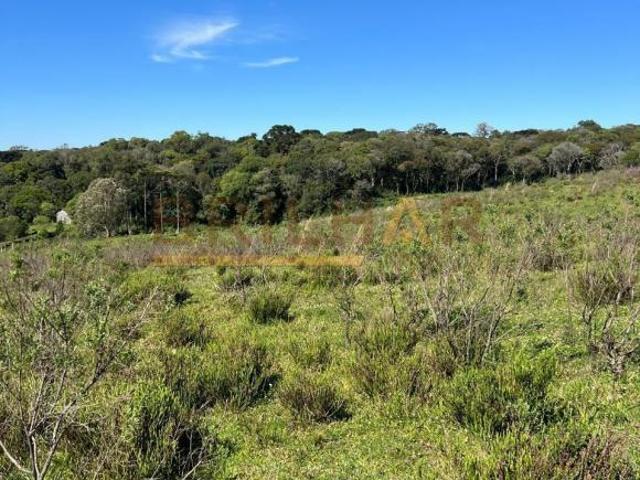 Terreno venda em Região Geográfica Imediata de Caxias do Sul, Caxias do Sul
