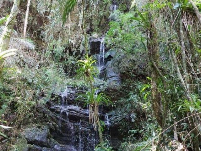 Terreno venda em Região Imediata de Taubaté-Pindamonhangaba, Região Metropolitana do Vale do Paraíba e Litoral Norte