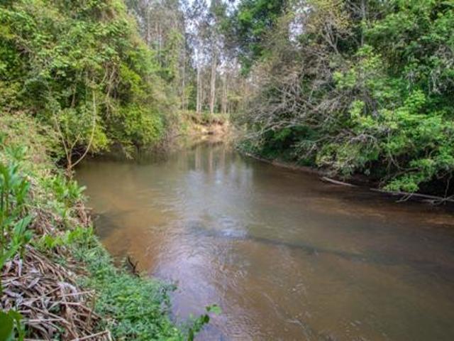 Terreno venda em Região Geográfica Imediata de Curitiba, Região Metropolitana de Curitiba
