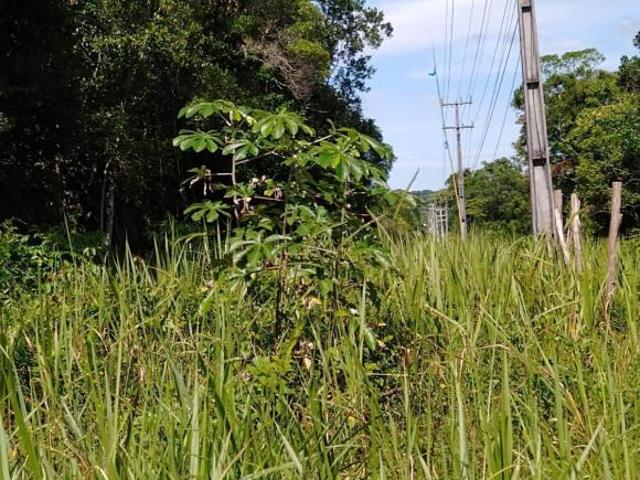 Terreno venda em Região Geográfica Imediata de Paranaguá, Guaratuba