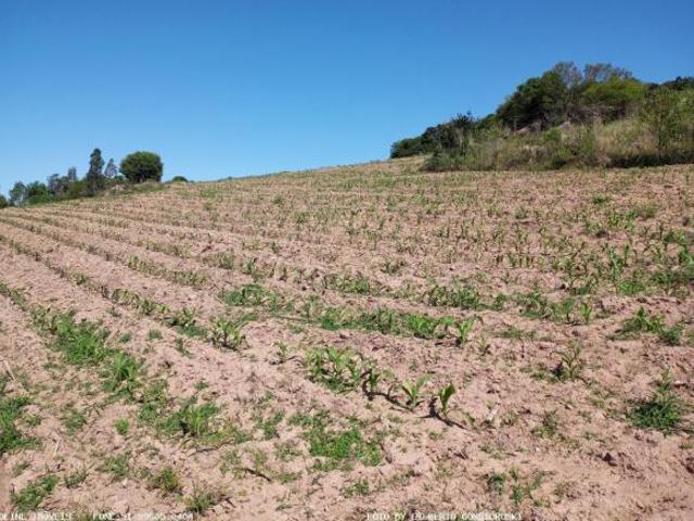Terreno venda em Região Geográfica Imediata de Porto Alegre, Mariana Pimentel