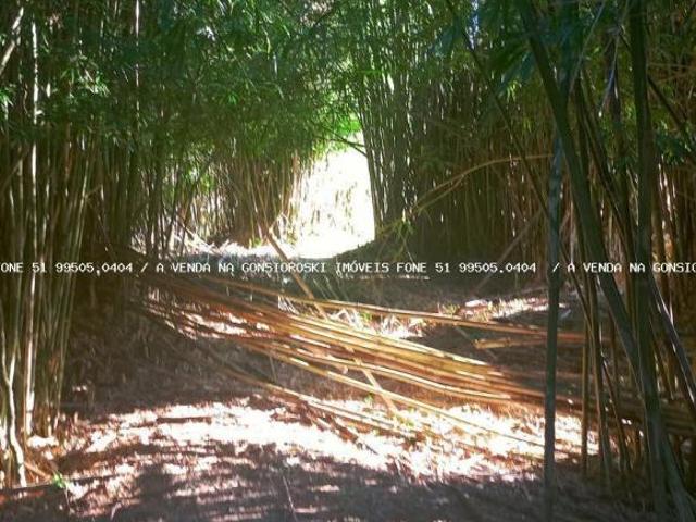 Terreno venda em Região Geográfica Imediata de Porto Alegre, Mariana Pimentel