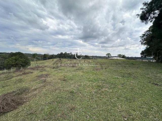 Sítio e chácara venda em Piraquara, Região Geográfica Intermediária de Curitiba