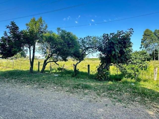 Terreno venda em Passo da Cruz, São Jerônimo