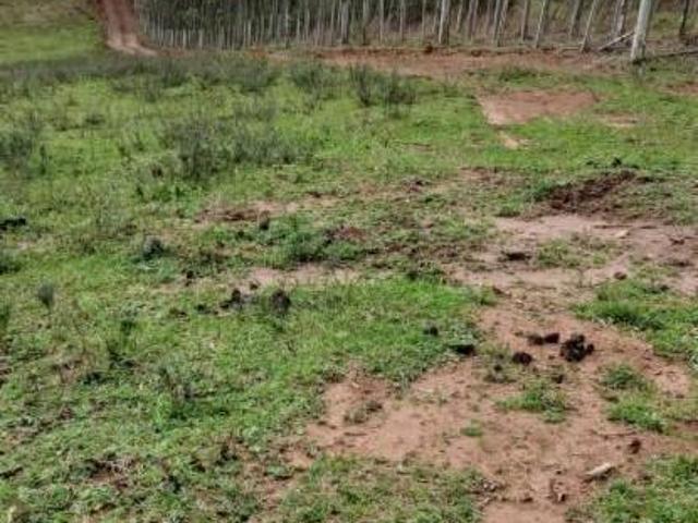 Terreno venda em Região Geográfica Imediata de Santa Maria, Santa Maria