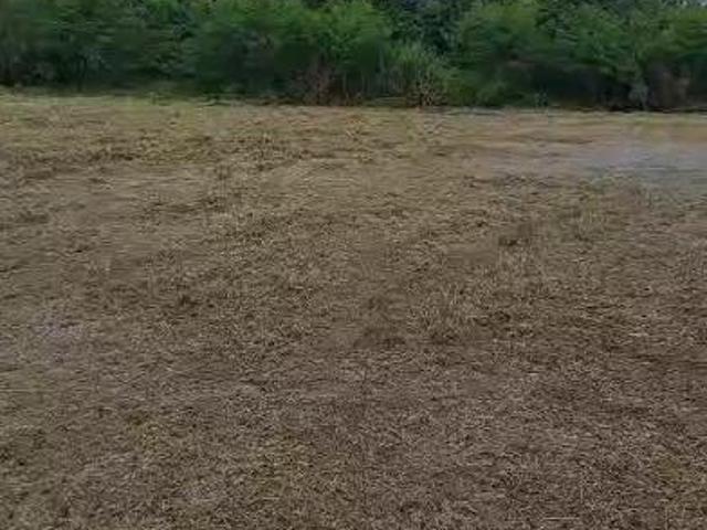 Sítio e chácara venda em Região Imediata de São José dos Campos, Região Metropolitana do Vale do Paraíba e Litoral Norte