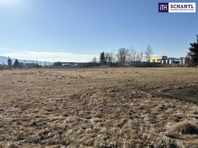 Grundstück kaufen in Wildon, Steiermark