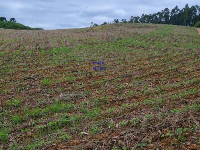 Sítio e chácara venda em Região Geográfica Imediata de Curitiba, Região Metropolitana de Curitiba
