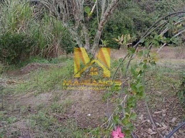 Sítio e chácara venda em Nazaré Paulista