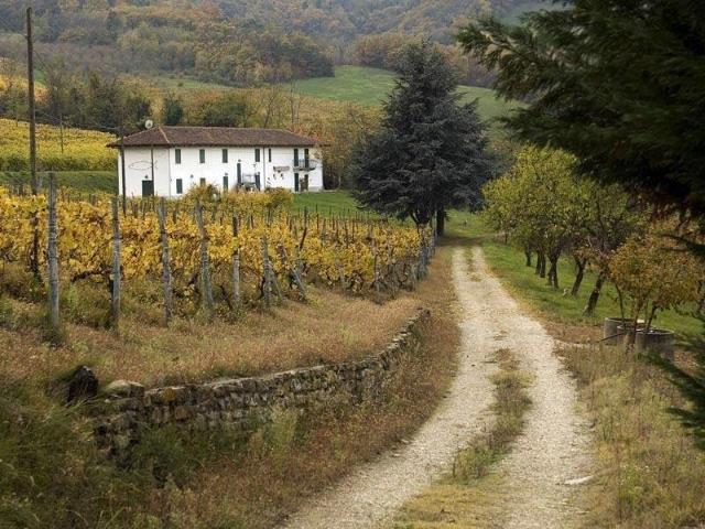 Casa in vendita a Piemonte, Cuneo