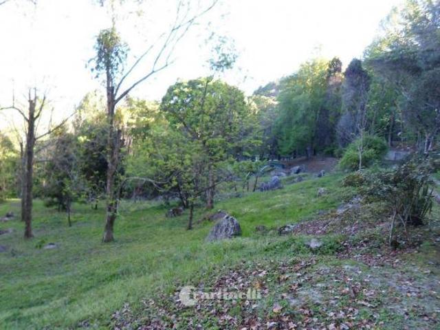 Terreno venda em Região Imediata de Taubaté-Pindamonhangaba, Região Metropolitana do Vale do Paraíba e Litoral Norte