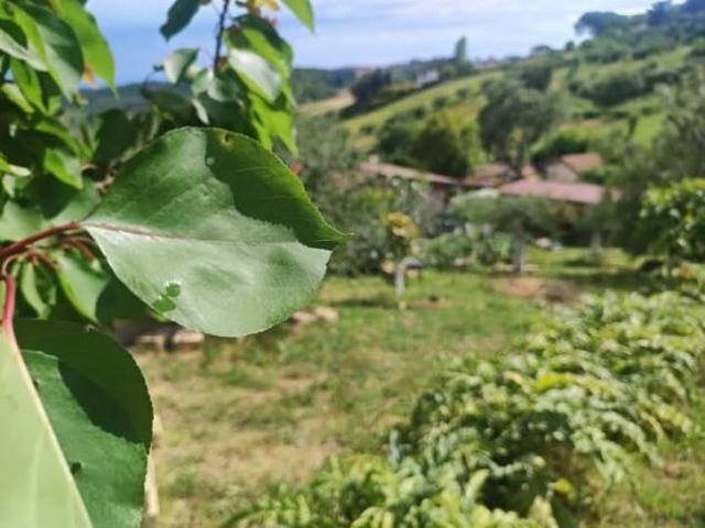 Terreno in vendita a Roma Capitale, Lazio