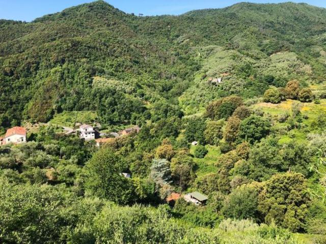 Terreno in vendita a Leivi, Liguria