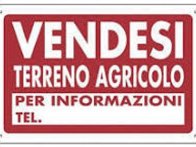 Terreno in vendita a Tonfano, Toscana