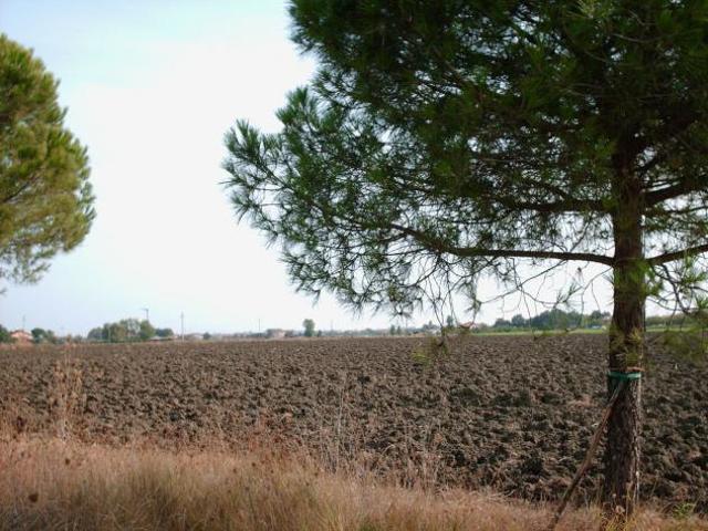 Terreno in vendita a Rimini, Reggio Emilia