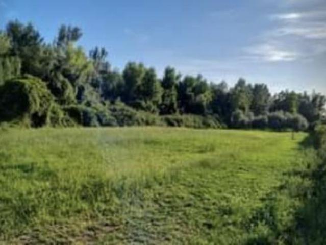 Terreno in vendita a Seravezza, Toscana