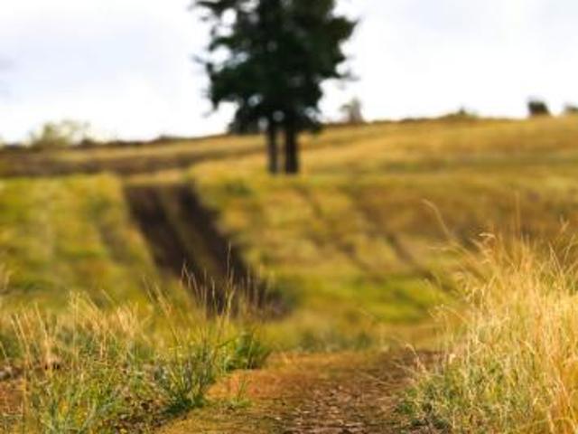 Terreno in vendita a Unione di comuni Valmarecchia, Verucchio