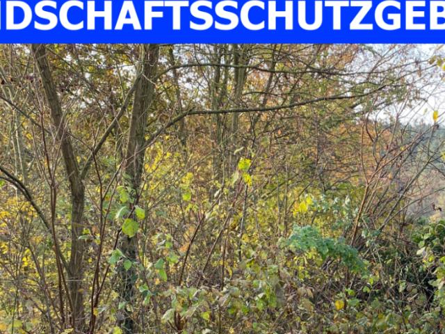 Landwirtschaft kaufen in Fürth, Bayern