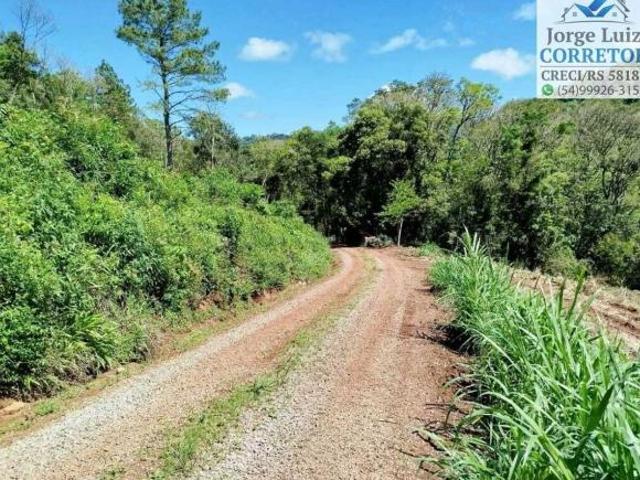 Sítio e chácara venda em Nova Petrópolis, Região Geográfica Intermediária de Caxias do Sul