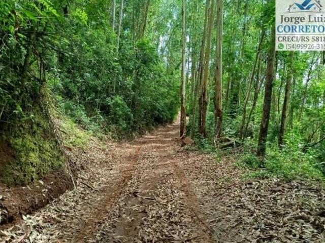 Sítio e chácara venda em Região Geográfica Imediata de Caxias do Sul, Nova Petrópolis